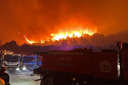 bozbey alevlerin ortasinda fel