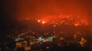 bursa ve 4 i lde orman yangini