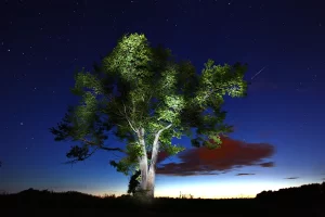 perseid meteor yagmuru 2025 tu