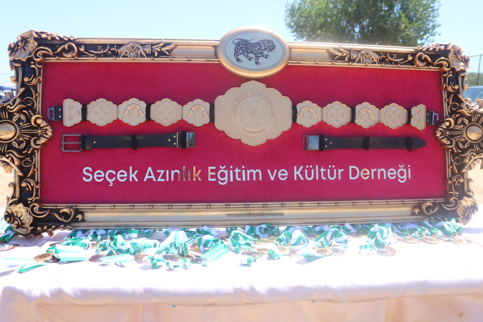Yağlı güreş müsabakaları