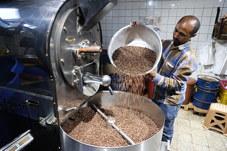 Kahvenin bilinmeyen yolculuğu: Fidandan fincana